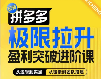 拼多多极限拉升盈利突破进阶课，​从算法到玩法，从玩法到团队搭建，体系化系统性帮助商家实现利润提升_泡桐学堂