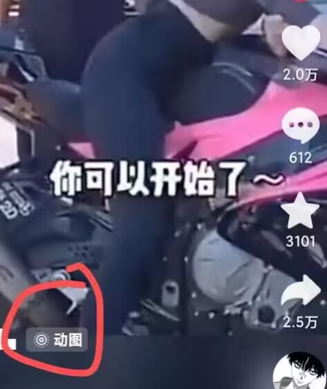 2024年7月苹果手机动图搬运技术_泡桐学堂