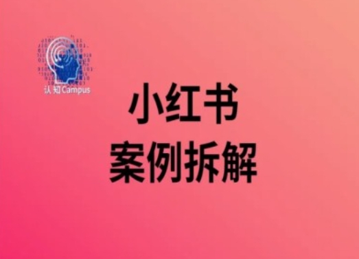 小红书案例拆解，深度解读小红书40万粉_泡桐学堂
