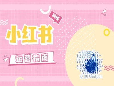小红书运营指南，没有套路，全是经验_泡桐学堂
