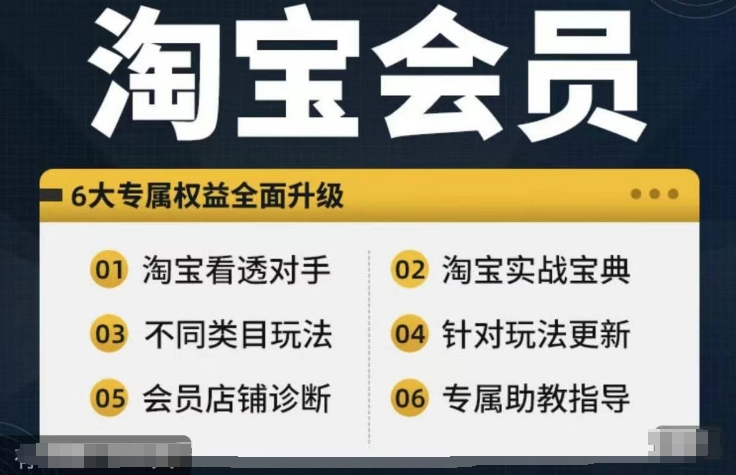 淘宝会员【淘宝所有课程，全面分析对手】，初级到高手全系实战宝典_泡桐学堂