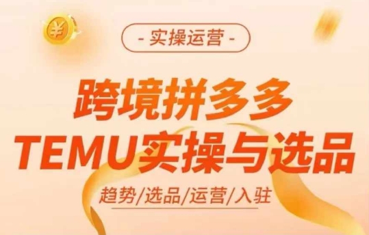 跨境拼多多TEMU实操与选品，多多temu跨境选品运营实操_泡桐学堂