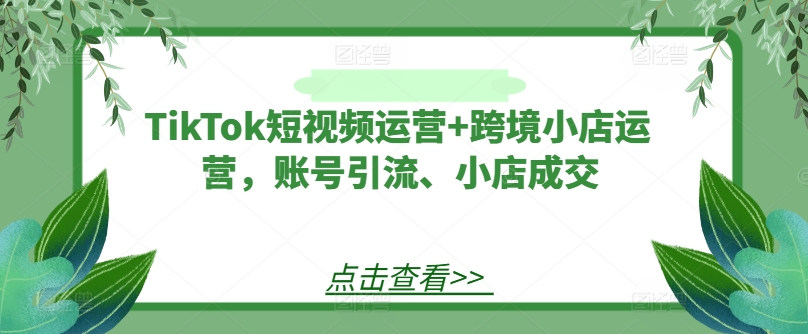 TikTok短视频运营+跨境小店运营，账号引流、小店成交_泡桐学堂