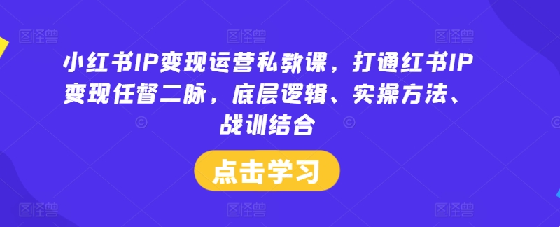 小红书IP变现运营私教课，打通红书IP变现任督二脉，底层逻辑、实操方法、战训结合_泡桐学堂