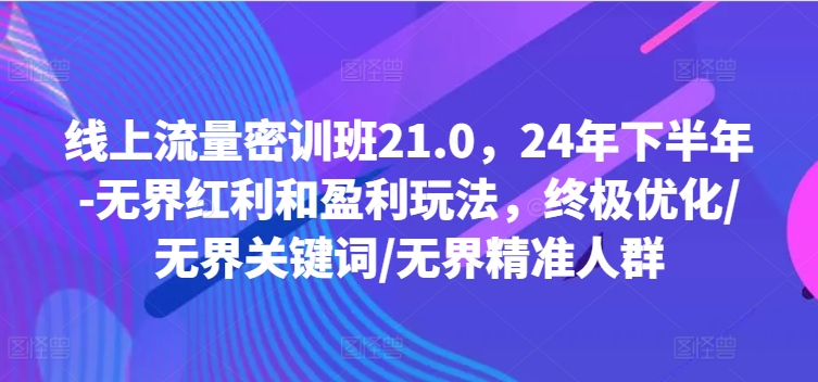 线上流量密训班21.0，24年下半年-无界红利和盈利玩法，终极优化/无界关键词/无界精准人群_泡桐学堂
