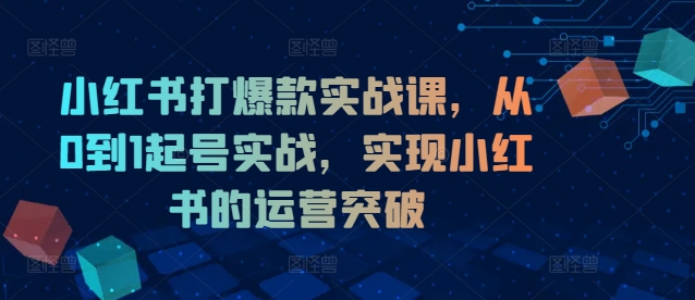小红书打爆款实战课，从0到1起号实战，实现小红书的运营突破_泡桐学堂