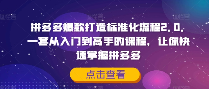 拼多多爆款打造标准化流程2.0，一套从入门到高手的课程，让你快速掌握拼多多_泡桐学堂