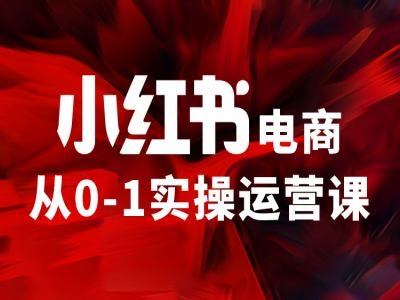 小红书电商从0-1实操运营课，让你从小白到精英_泡桐学堂