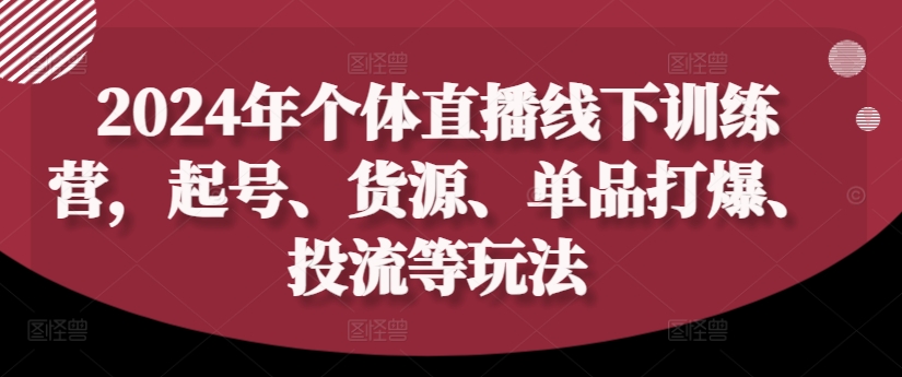 2024年个体直播训练营，起号、货源、单品打爆、投流等玩法_泡桐学堂