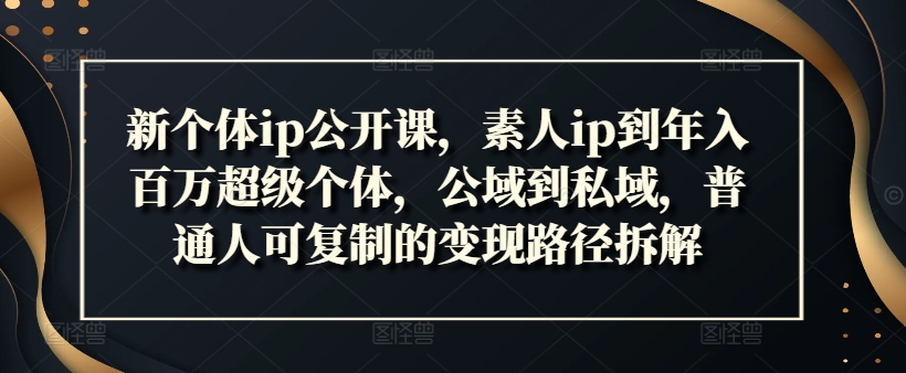 新个体ip公开课，素人ip到年入百万超级个体，公域到私域，普通人可复制的变现路径拆解_泡桐学堂