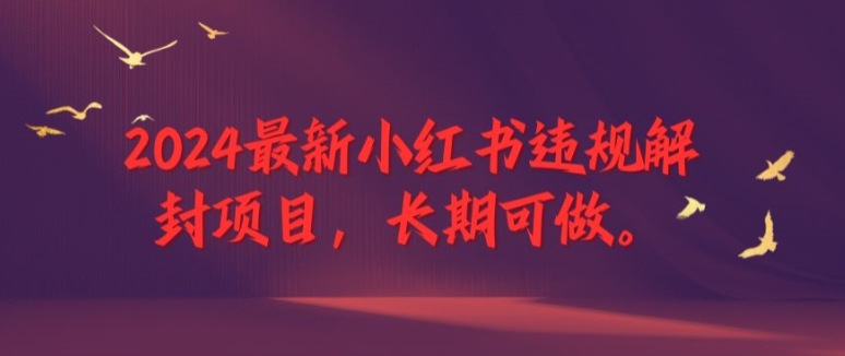 2024最新小红书违规解封项目，长期可做，一个可以做到退休的项目【揭秘】_泡桐学堂
