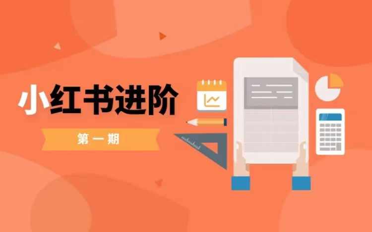 小红书进阶篇，零基础小白实战课，普通人变现的课程_泡桐学堂