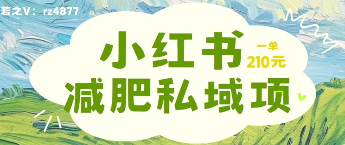 小红书减肥粉，私域变现项目，一单就达210元，小白也能轻松上手【揭秘】_泡桐学堂