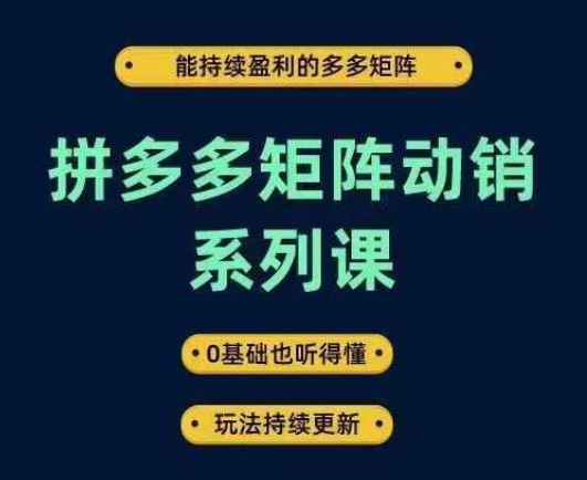 拼多多矩阵动销系列课，能持续盈利的多多矩阵，0基础也听得懂，玩法持续更新_泡桐学堂