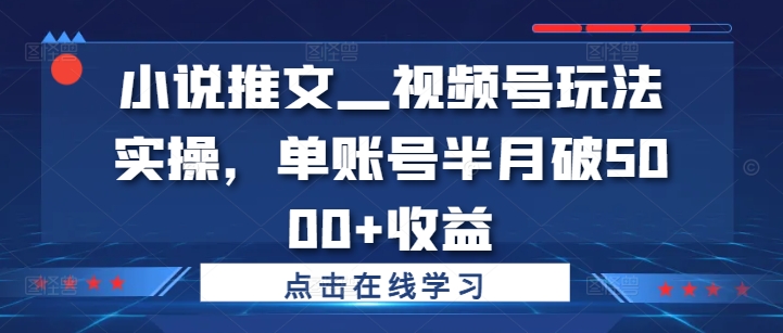 小说推文—视频号玩法实操，单账号半月破5000+收益_泡桐学堂