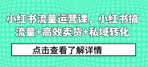 小红书流量运营课，小红书搞流量+高效卖货+私域转化_泡桐学堂