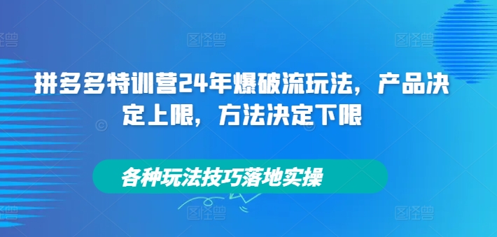 拼多多特训营24年爆破流玩法，产品决定上限，方法决定下限，各种玩法技巧落地实操_泡桐学堂