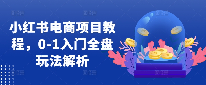 小红书电商项目教程，0-1入门全盘玩法解析_泡桐学堂