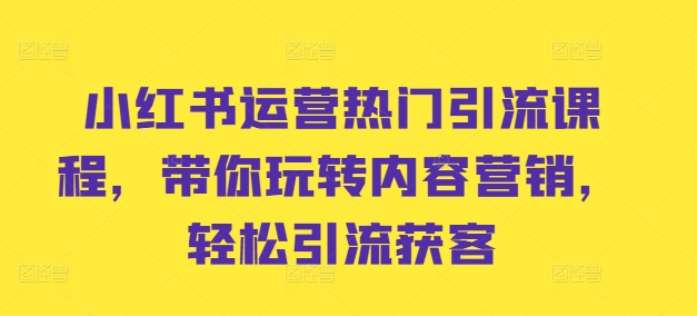 小红书运营热门引流课程，带你玩转内容营销，轻松引流获客_泡桐学堂