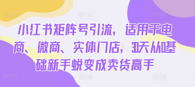 小红书矩阵号引流，适用于电商、微商、实体门店，30天从0基础新手蜕变成卖货高手_泡桐学堂