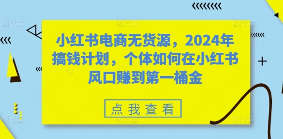 小红书电商无货源，2024年搞钱计划，个体如何在小红书风口赚到第一桶金_泡桐学堂