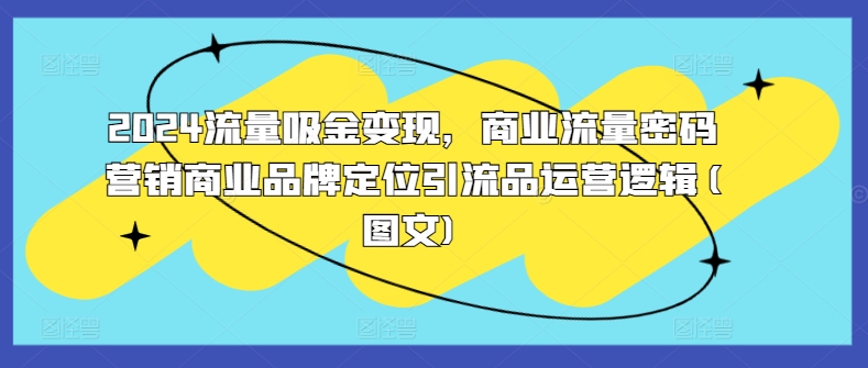 2024流量吸金变现，商业流量密码营销商业品牌定位引流品运营逻辑(图文)_泡桐学堂