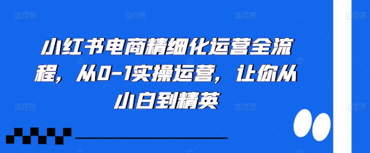 小红书电商精细化运营全流程，从0-1实操运营，让你从小白到精英_泡桐学堂