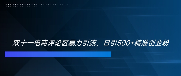 双十一电商评论区暴力引流，日引500+精准创业粉【揭秘】_泡桐学堂