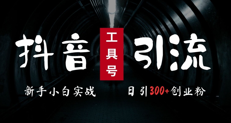 2024最新抖音工具号引流玩法，高效日引300+创业粉，当天变现5k，小白也可成为实战高手_泡桐学堂