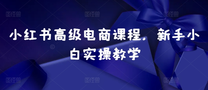 小红书高级电商课程，新手小白实操教学_泡桐学堂