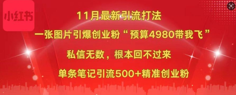 小红书11月最新图片打粉，一张图片引爆创业粉，“预算4980带我飞”，单条引流500+精准创业粉_泡桐学堂