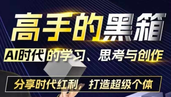 高手的黑箱：AI时代学习、思考与创作-分红时代红利，打造超级个体_泡桐学堂