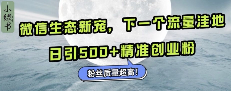 微信生态新宠小绿书：下一个流量洼地，日引500+精准创业粉，粉丝质量超高_泡桐学堂