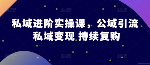 私域进阶实操课，公域引流 私域变现 持续复购_泡桐学堂