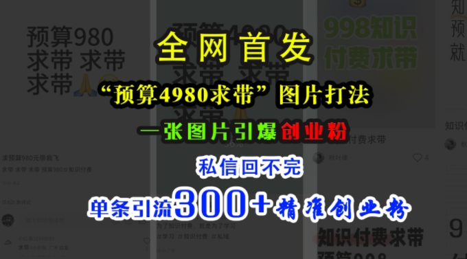 小红书“预算4980带我飞”图片打法，一张图片引爆创业粉，私信回不完，单条引流300+精准创业粉_泡桐学堂