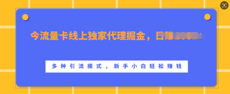 流量卡线上独家代理掘金，日入1k+ ，多种引流模式，新手小白轻松上手【揭秘】_泡桐学堂