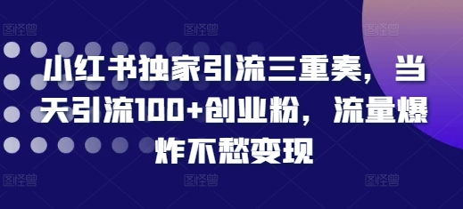 小红书独家引流三重奏，当天引流100+创业粉，流量爆炸不愁变现【揭秘】_泡桐学堂