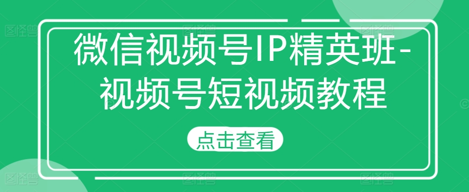 微信视频号IP精英班-视频号短视频教程_泡桐学堂