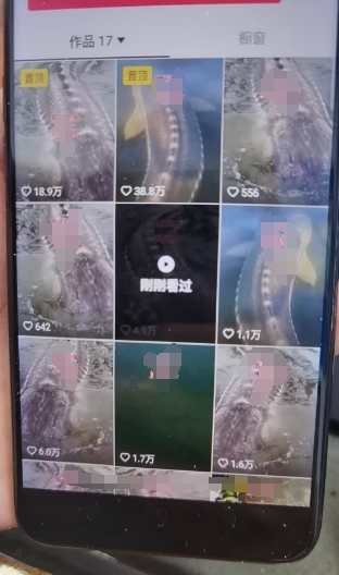 外面卖399的国学佛像原创暴力起号技术，快速起号，7天可达到一个万粉号_泡桐学堂