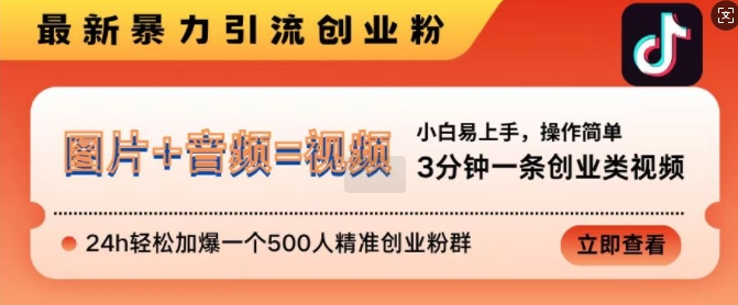 抖音最新暴力引流创业粉，3分钟一条创业类视频，24h轻松加爆一个500人精准创业粉群【揭秘】_泡桐学堂
