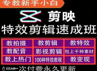 剪映特效教程和运营变现教程，特效剪辑速成班，专教新手小白_泡桐学堂