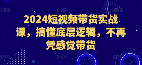 2024短视频带货实战课，搞懂底层逻辑，不再凭感觉带货_泡桐学堂