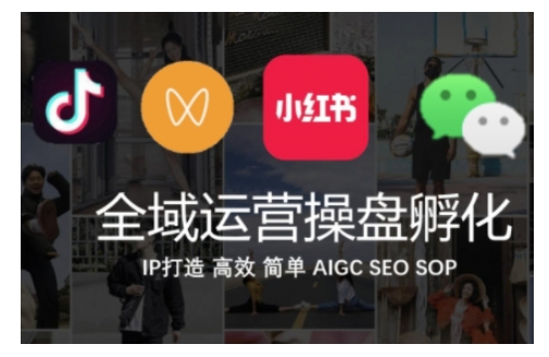 全域运营操盘(抖音+私域+小红书)，IP打造高效简单_泡桐学堂