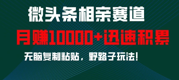 微头条相亲赛道，迅速积累，无脑复制粘贴，野路子玩法，月入1w_泡桐学堂