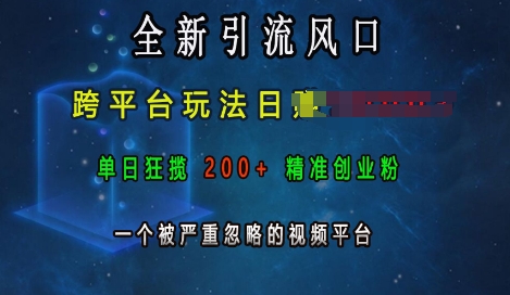 全新引流风口，跨平台玩法日入上k，单日狂揽200+精准创业粉，一个被严重忽略的视频平台_泡桐学堂