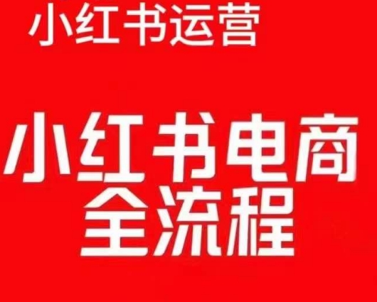 红薯电商实操课，小红书电商全流程_泡桐学堂