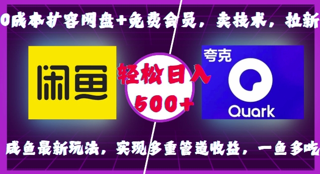 0成本扩容网盘+免费会员，卖技术，拉新，咸鱼最新玩法，实现多重管道收益，一鱼多吃，轻松日入500+_泡桐学堂