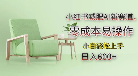 小红书减肥AI新赛道，零成本易操作，日入多张，小白轻松上手【揭秘】_泡桐学堂
