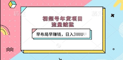 视频号年货项目，流量贼猛，早布局早挣钱，日入上k【揭秘】_泡桐学堂
