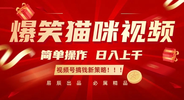 爆笑猫咪视频：简单操作，日入过K，视频号搞钱新策略【揭秘】_泡桐学堂